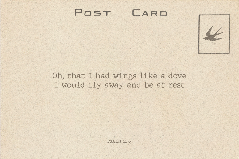 Little bird i am