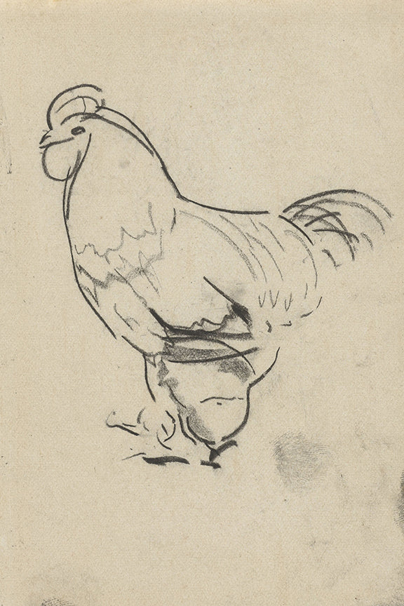 The Rooster