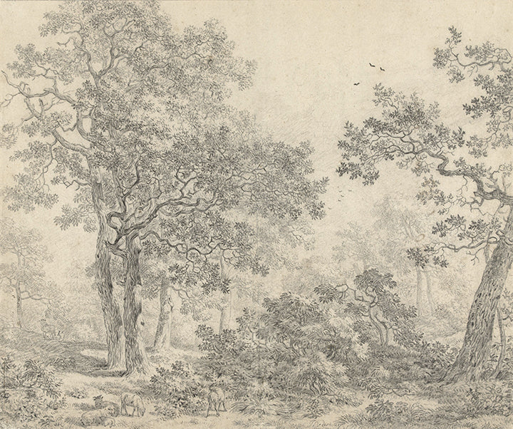 When the trees sing