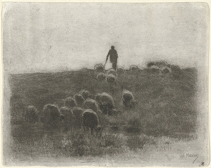 Good Shepherd