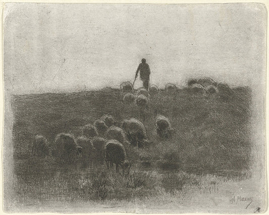 Good Shepherd