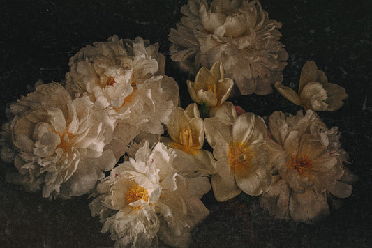 peonies & tulips