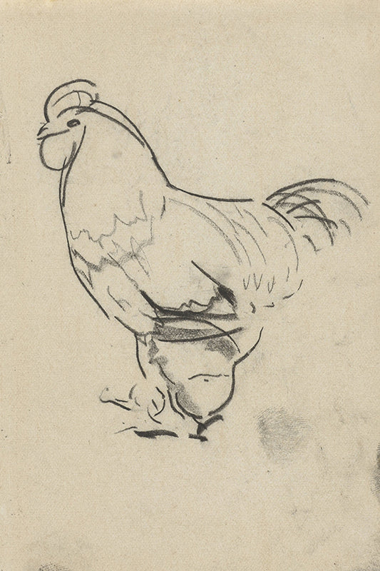 The Rooster