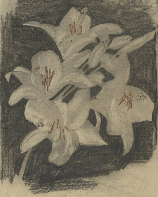 consider the lilies