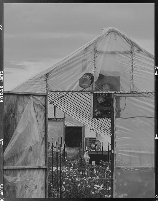 Greenhouse