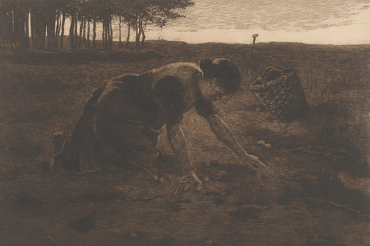 hands in the soil