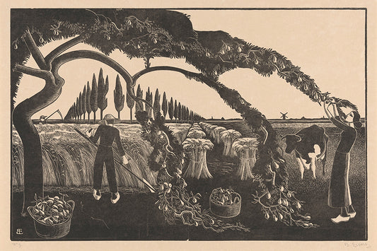 harvest sheaves