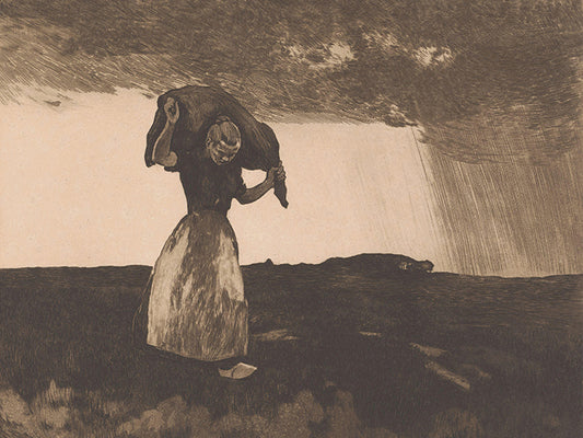 sowing in the storm